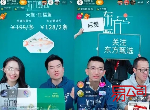 子公司和分公司的区别 分公司怎么注册（东方甄选已成立六家分公司）